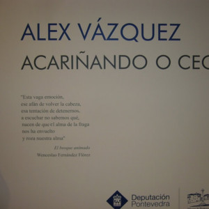 Exposición Acariñando o ceo de Álex Vázquez