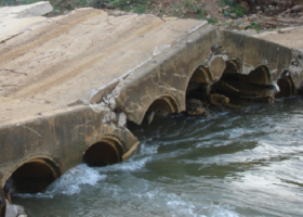 Imagen destacada – Opinion