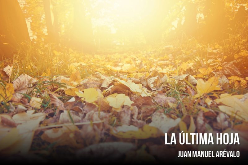 OPINIÓN – LA ÚLTIMA HOJA 2