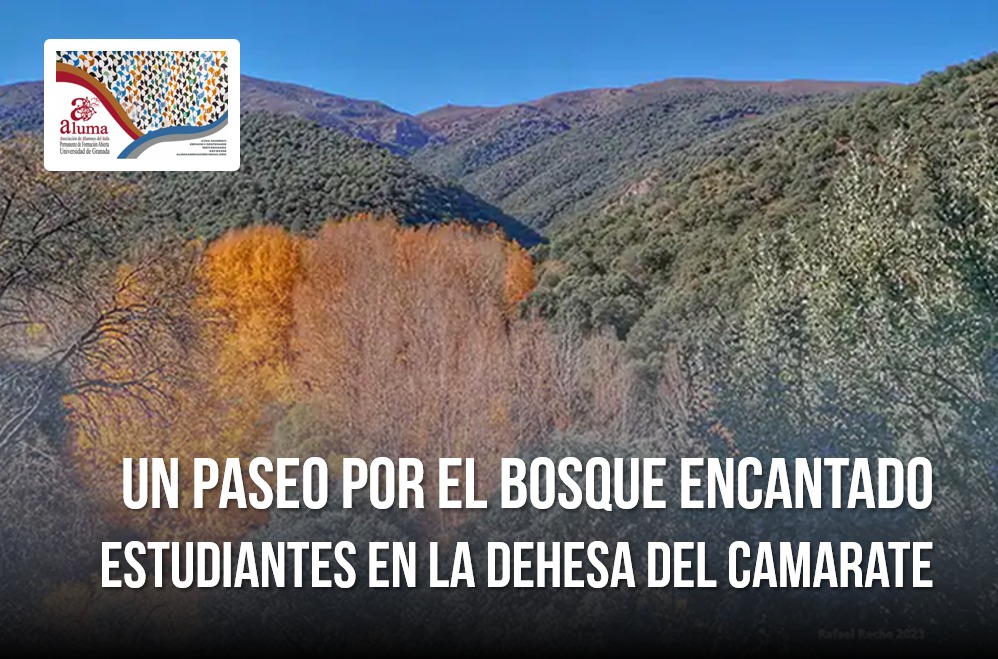 Un paseo por el Bosque Encantado. Estudiantes en la Dehesa del Camarate ...