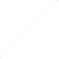 Noticias-Triangulo