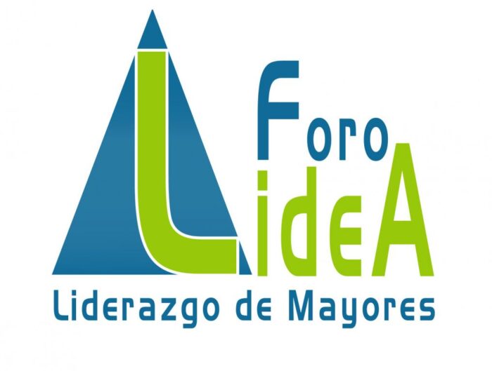 20151008175028-lidea-logo-2015-web (1)